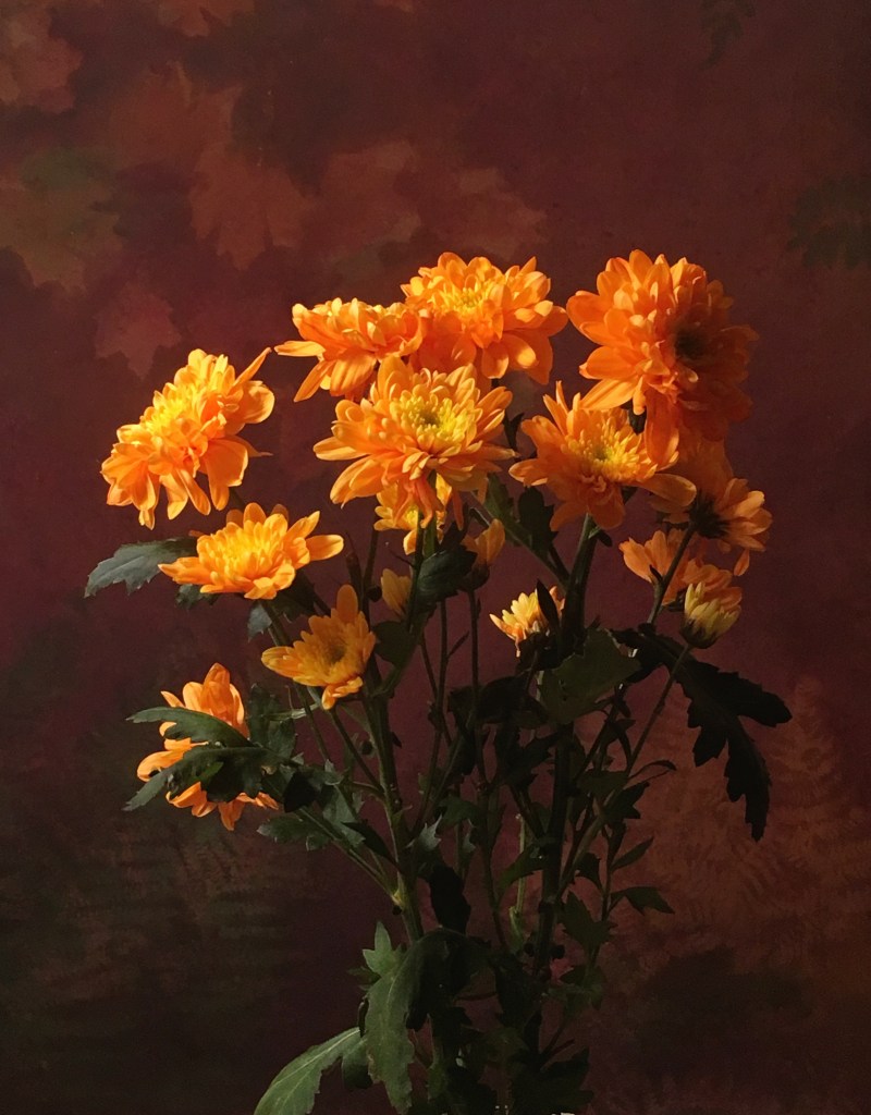 Bakgrund oranga blommor